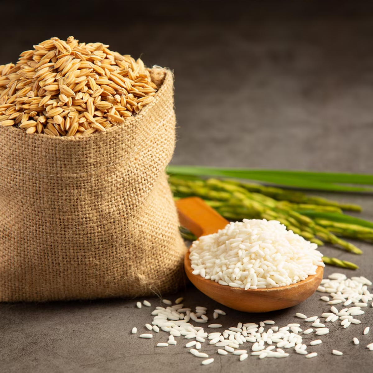 From Farm to Kitchen – The Journey of Hariom Rice